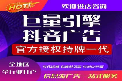 SEM推广策略：成功案例解析